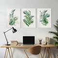 Zestaw obrazy w ramie, plakaty - liście, rośliny, tropikalne - rama biała