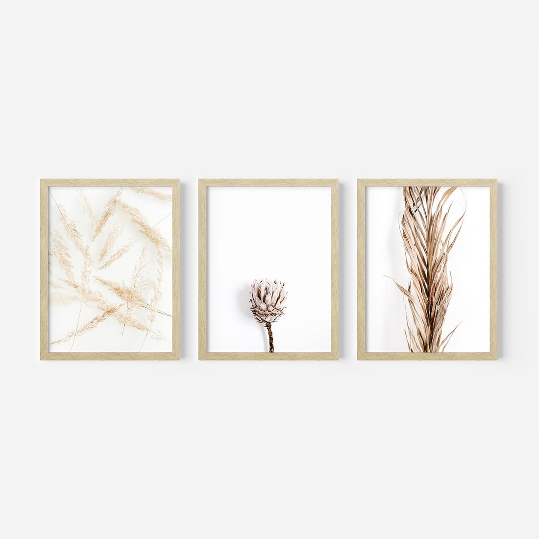 Zestaw obrazy w ramie, plakaty - roślina, suchy, kwiatostan - rama drewno