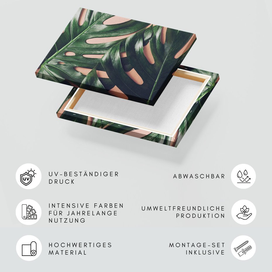 Obraz na płótnie - liście, monstera, roślina