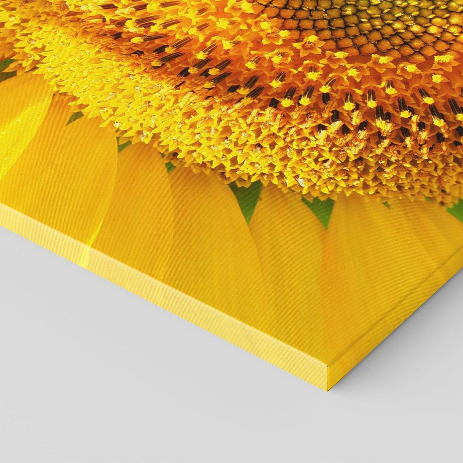 Obraz na płótnie - słonecznik, kwiat, żółty