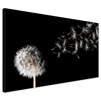 Obraz na płótnie - Dmuchawiec, Nasiona, Delikatność