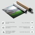 Fototapeta - stadion, sport, trawa