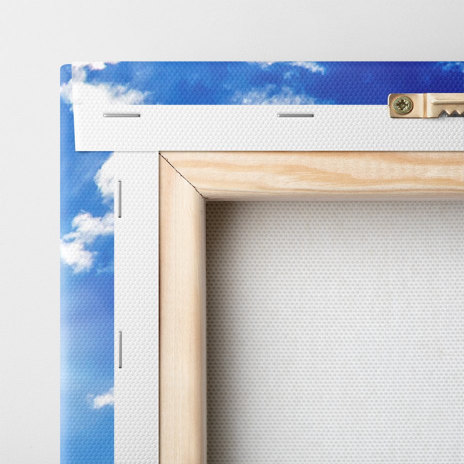 Obraz na płótnie - łąka, kwiaty, niebo