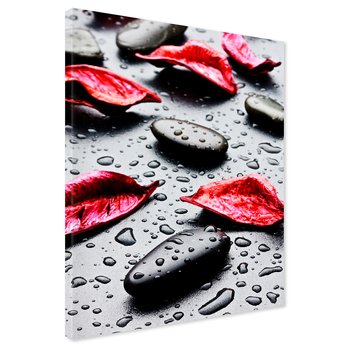 Obraz na płótnie - kwiaty, kamienie, woda