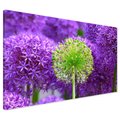 Obraz na płótnie - kwiat, fioletowy, zielony
