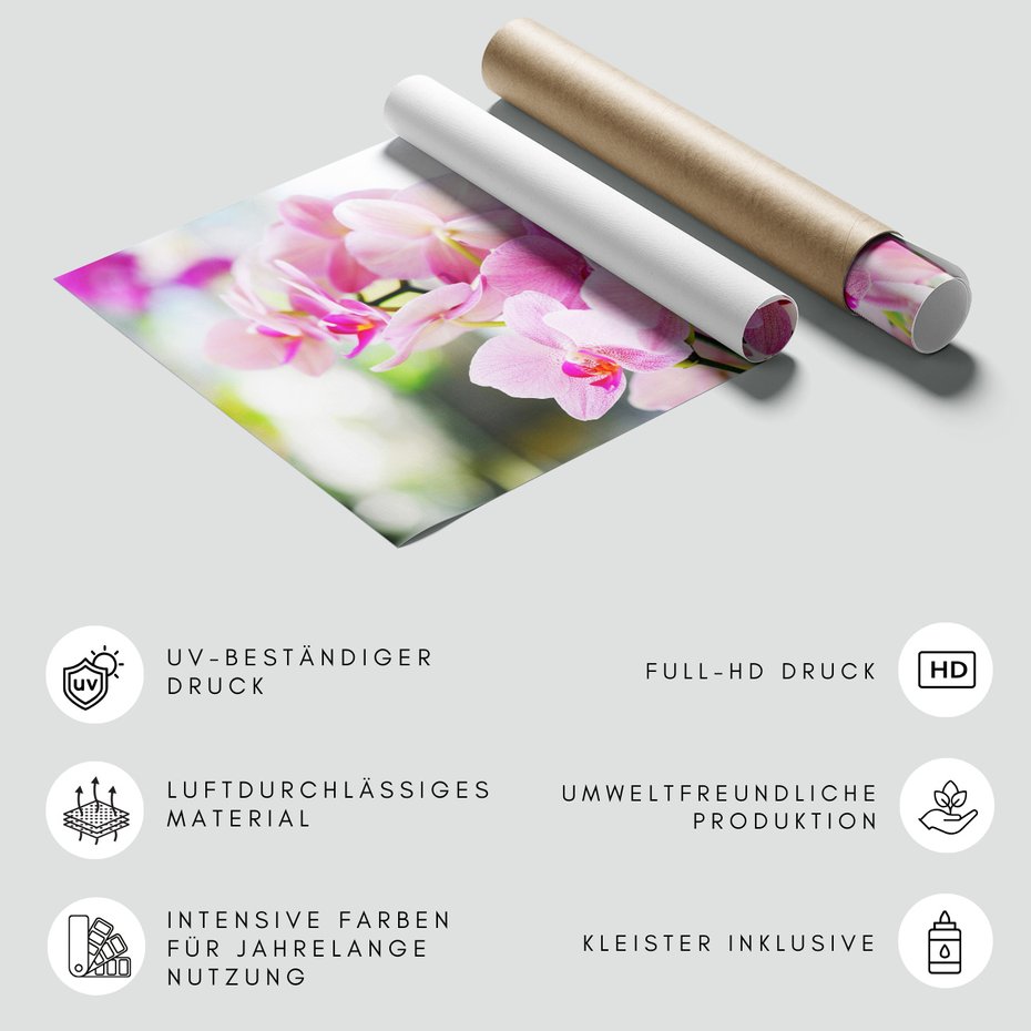 Fototapeta - kwiaty, orchidee, różowe,