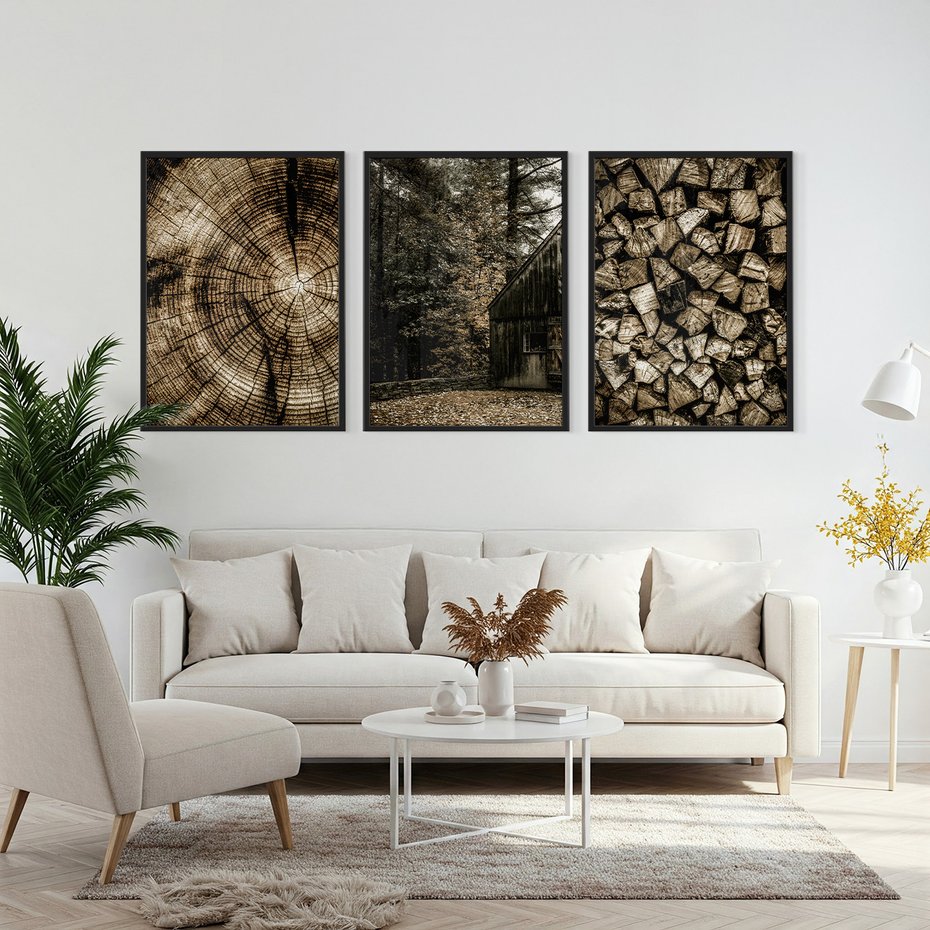 Zestaw obrazy w ramie, plakaty - drewno, kora, natura - rama czarna