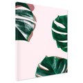 Obraz na płótnie - liście, monstera, roślina