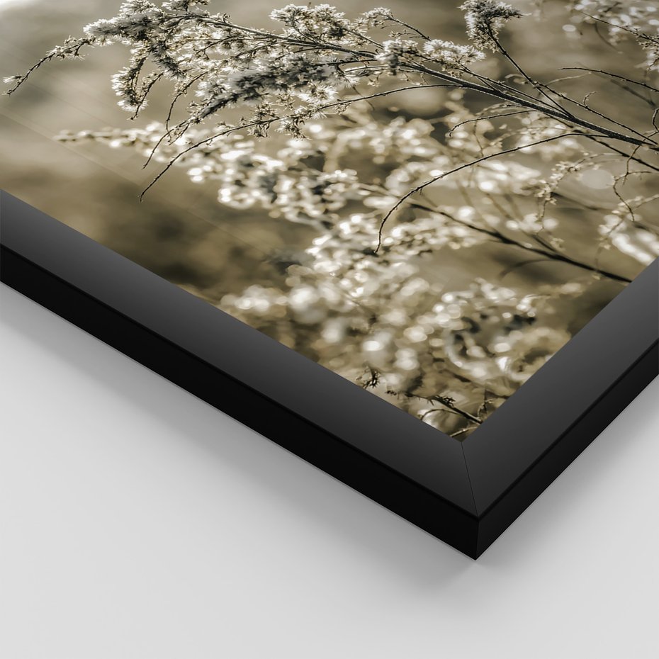 Zestaw obrazy w ramie, plakaty - natura, rośliny, góry - rama czarna