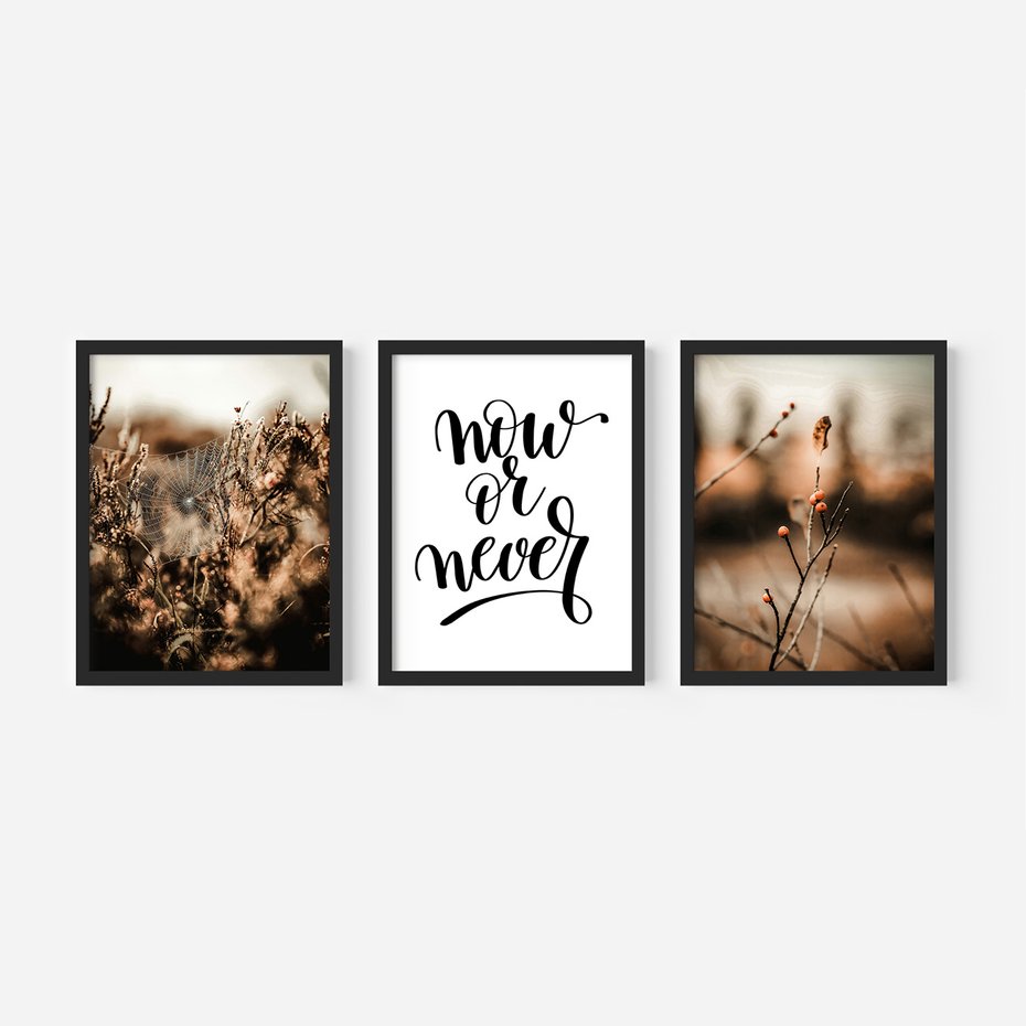 Zestaw obrazy w ramie, plakaty - przyroda, pajęczyna, owoce - rama czarna