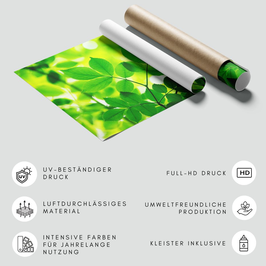 Fototapeta - liście, zieleń, natura