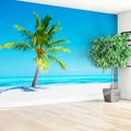 Fototapeta - palma, plaża, morze