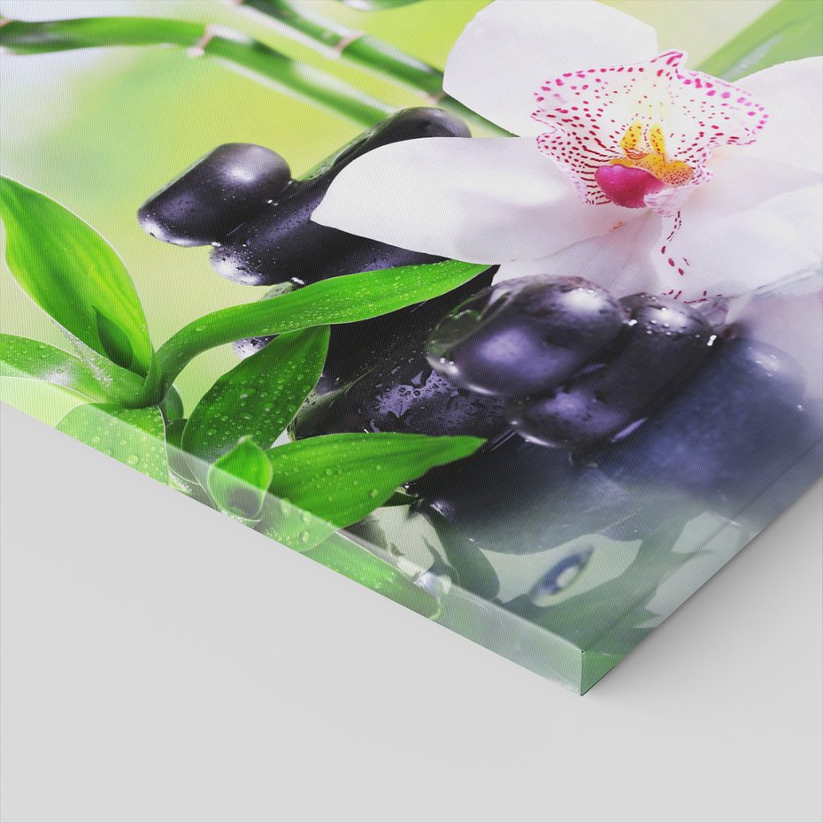 Obraz na płótnie - bambus, kamienie, orchidea