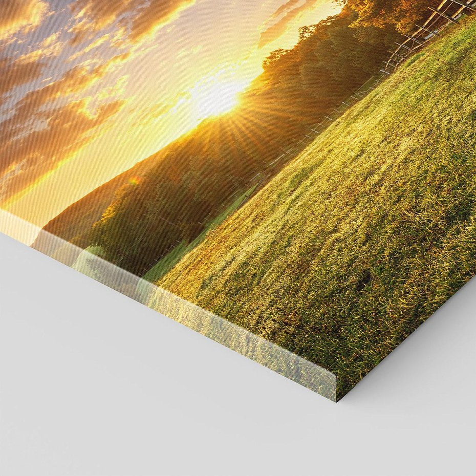 Obraz na płótnie - zachód słońca, trawa, drzewa