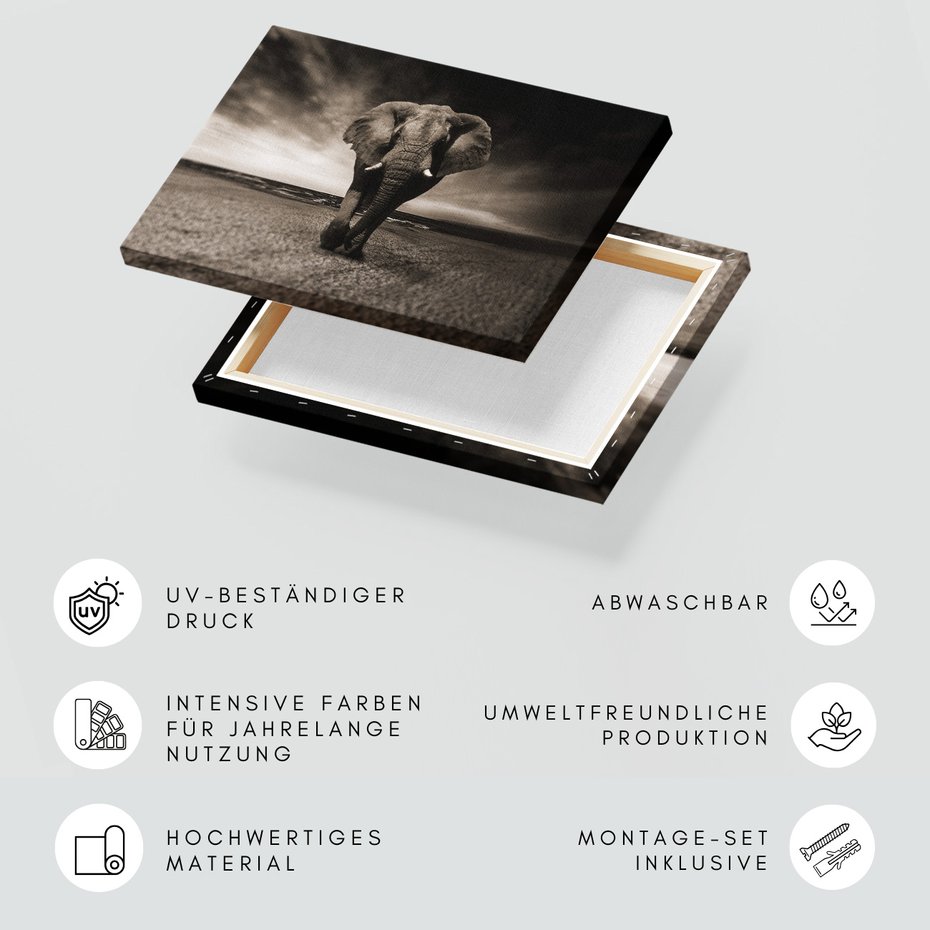 Obraz na płótnie - słoń, plaża, morze