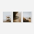Zestaw obrazy w ramie, plakaty - plaża, morze, pies - rama biała