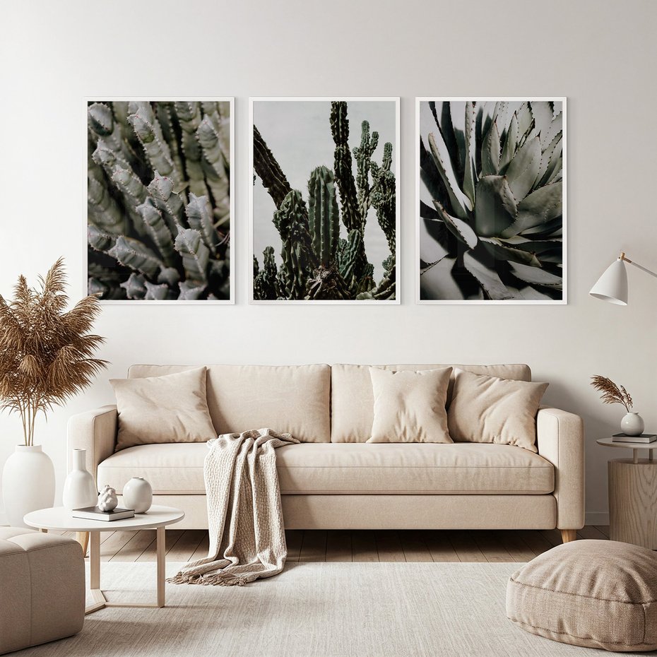 Zestaw obrazy w ramie, plakaty - kaktus, sukulent, roślina - rama biała