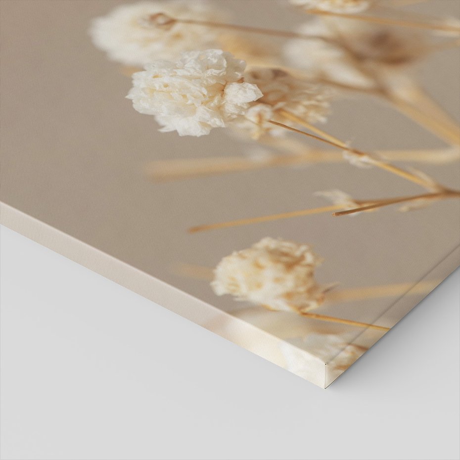 Obraz na płótnie - kwiaty, suszone, delikatne