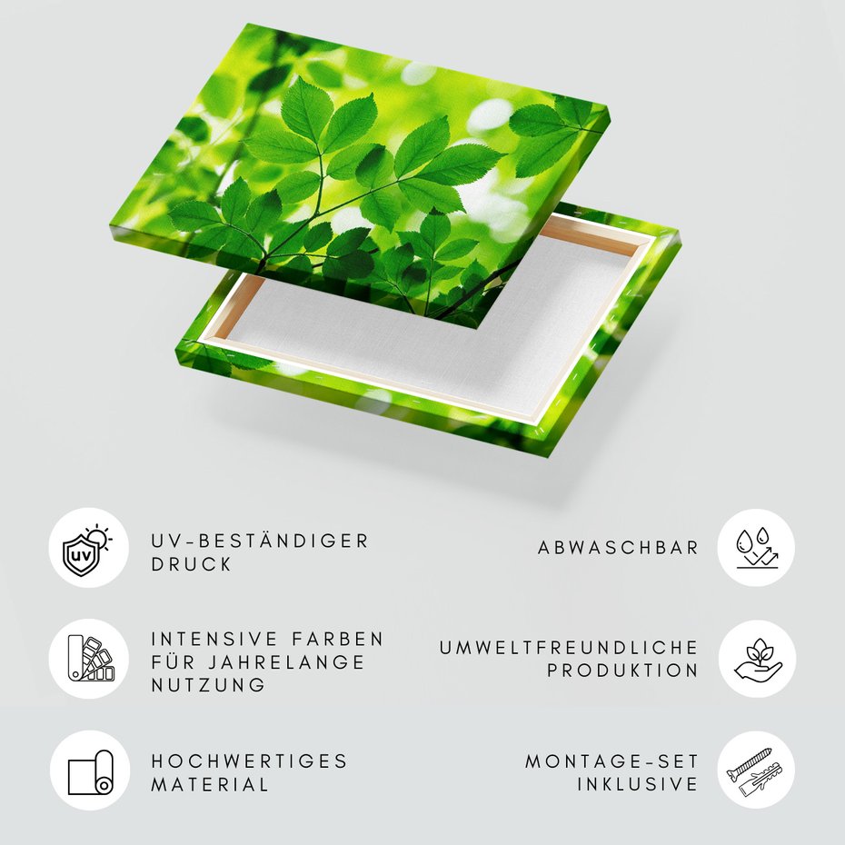 Obraz na płótnie - liście, zieleń, natura