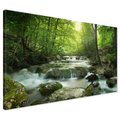 Obraz na płótnie - las, potok, woda