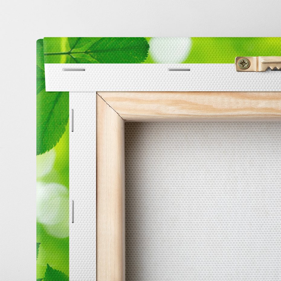 Obraz na płótnie - liście, zieleń, natura