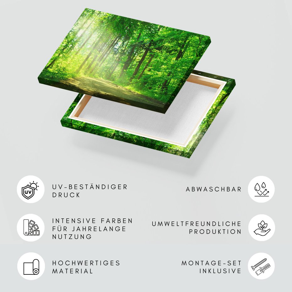 Obraz na płótnie - las, droga, drzewa