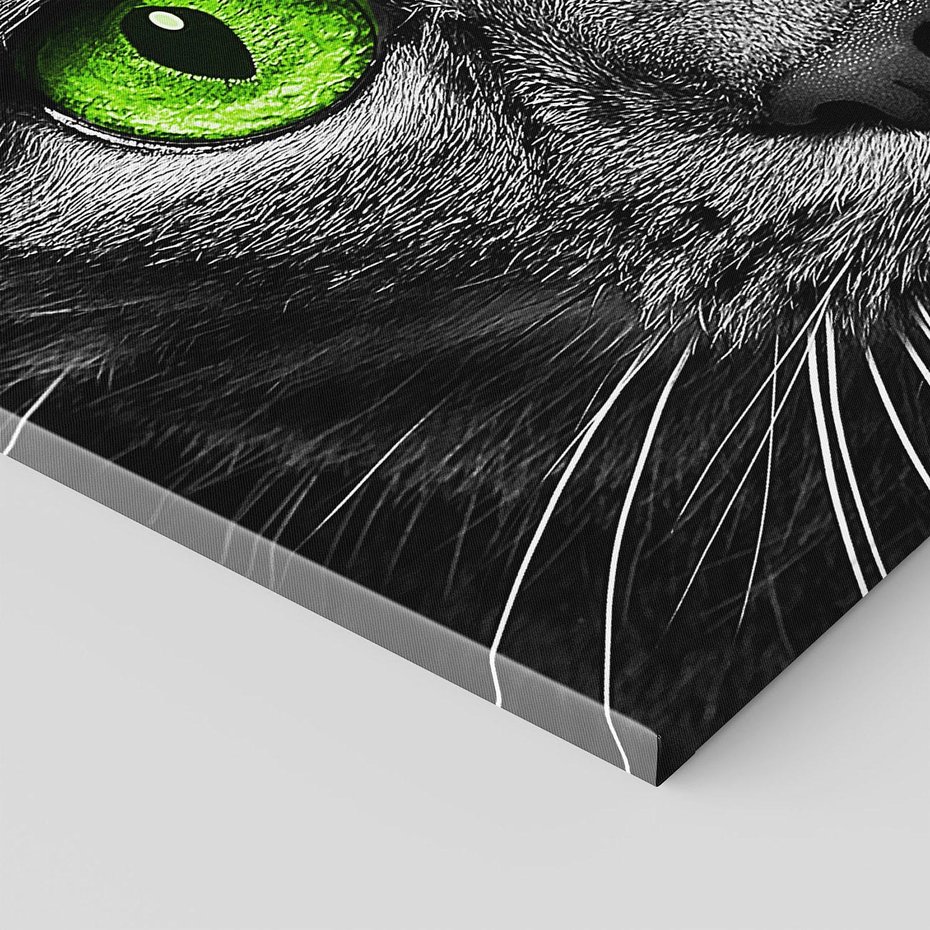 Obraz na płótnie - kot, oczy, zbliżenie