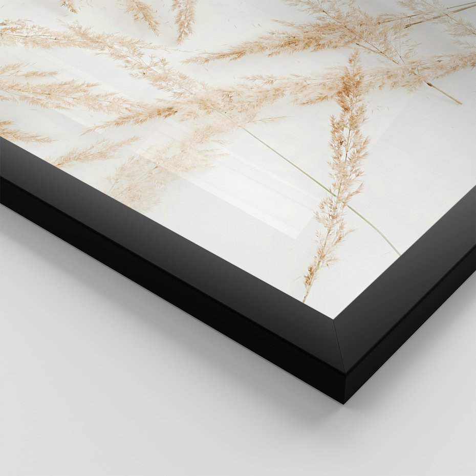 Zestaw obrazy w ramie, plakaty - roślina, suchy, kwiatostan - rama czarna