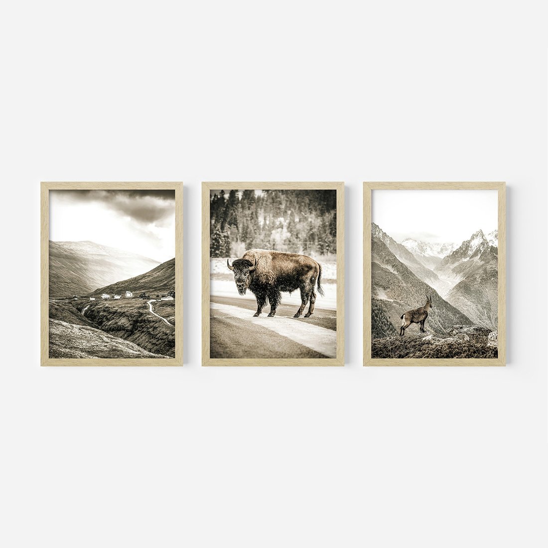 Zestaw obrazy w ramie, plakaty - krajobraz, zwierzę, góry - rama drewno