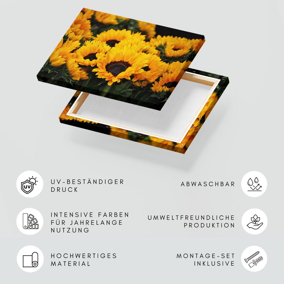 Obraz na płótnie - słoneczniki, kwiaty, żółty