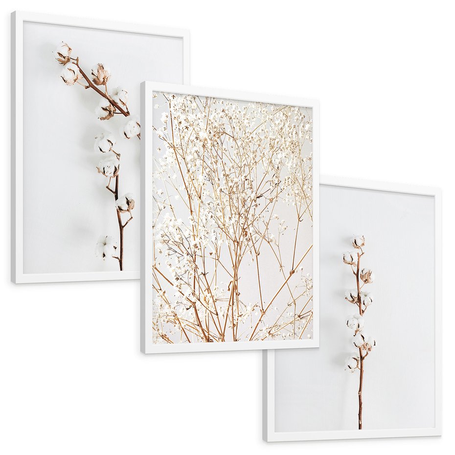 Zestaw obrazy w ramie, plakaty - bawełna, gałązki, delikatny - rama biała