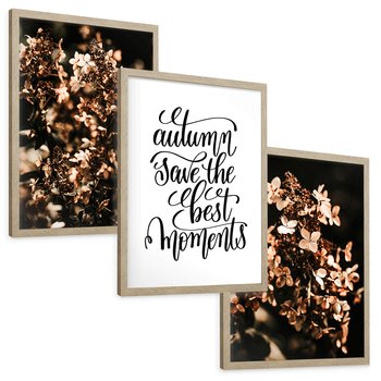 Zestaw obrazy w ramie, plakaty - kwiaty, jesień, dekoracja - rama drewno