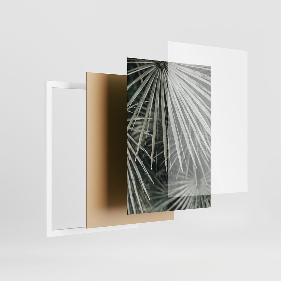 Zestaw obrazy w ramie, plakaty - liście, palmy, tropikalne - rama biała