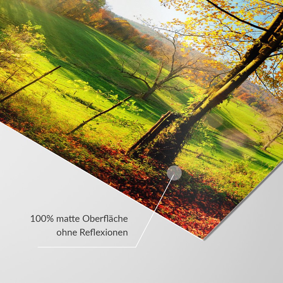 Fototapeta - jesień, krajobraz, drzewa