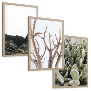Zestaw obrazy w ramie, plakaty - góry, kaktus, rośliny - rama drewno