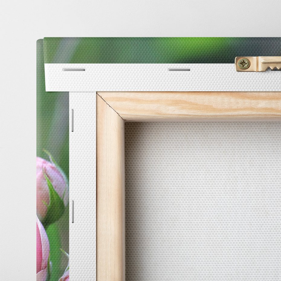 Obraz na płótnie - róże, kwiaty, natura