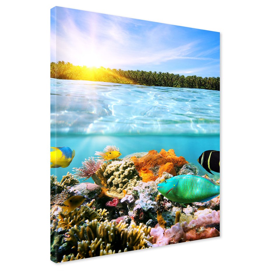 Obraz na płótnie - ryby, rafa, morze