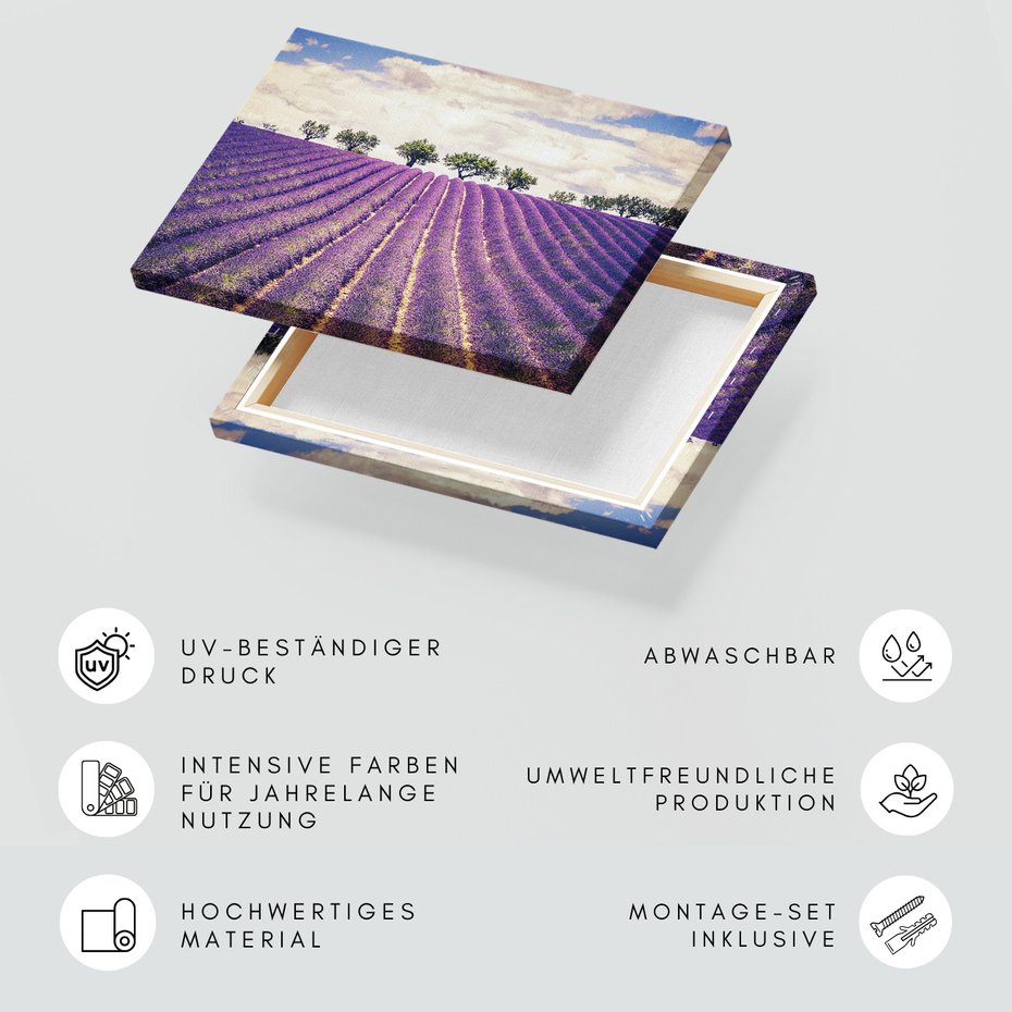 Obraz na płótnie - lawenda, pole, drzewa