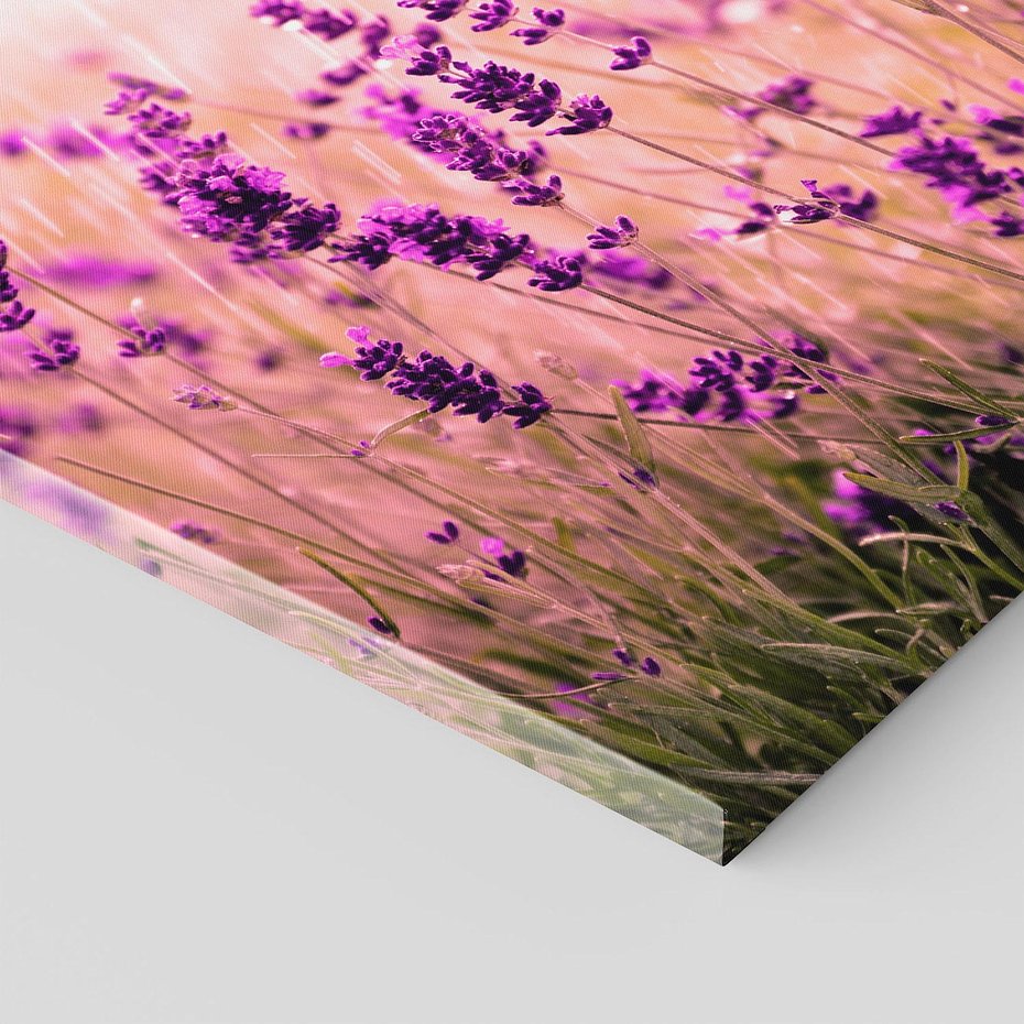 Obraz na płótnie - lawenda, kwiaty, pole
