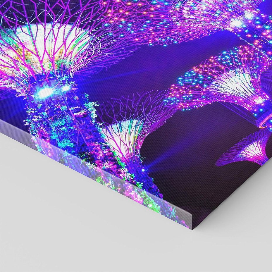 Obraz na płótnie - Singapur, ogrody, noc