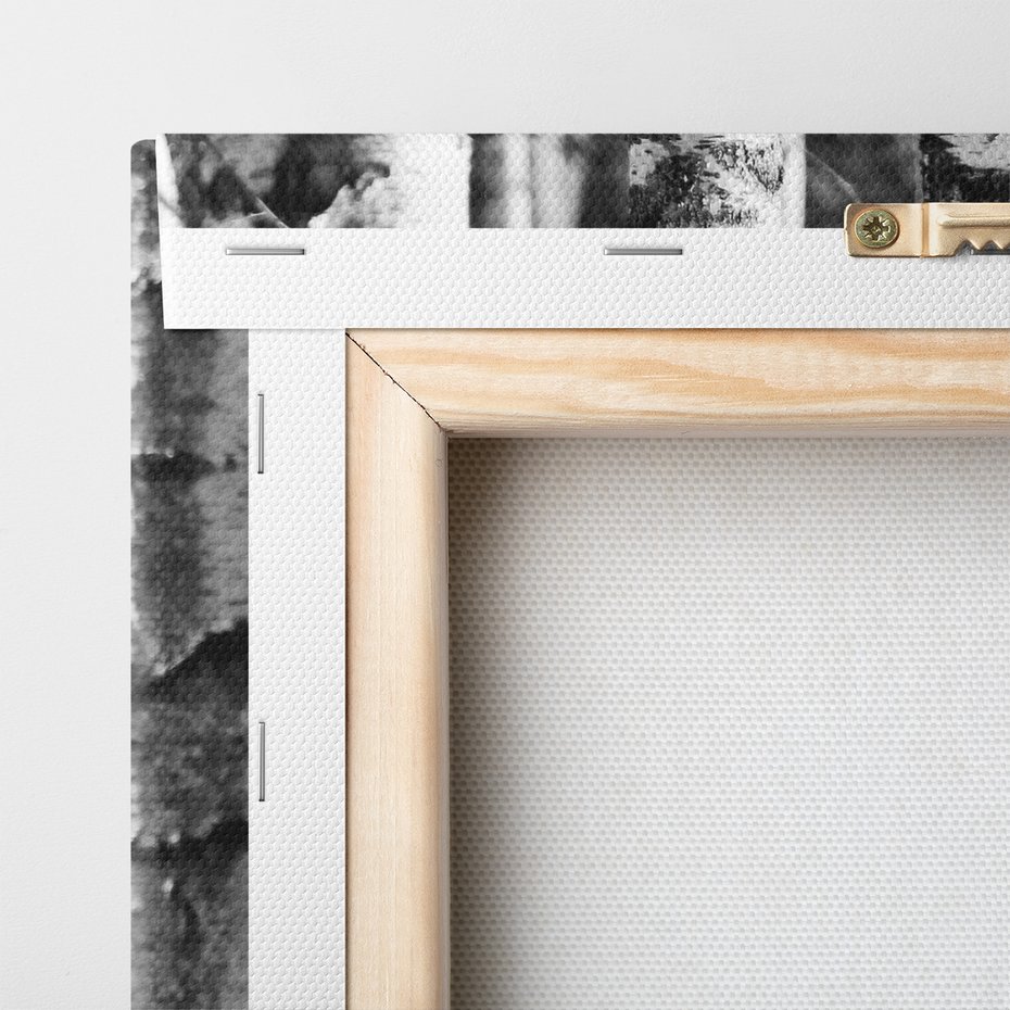 Obraz na płótnie - las, brzozy, drzewa