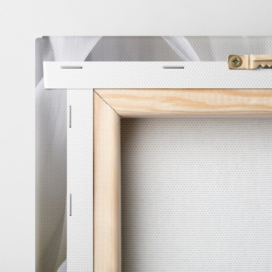 Obraz na płótnie - kwiat, płatki, biały