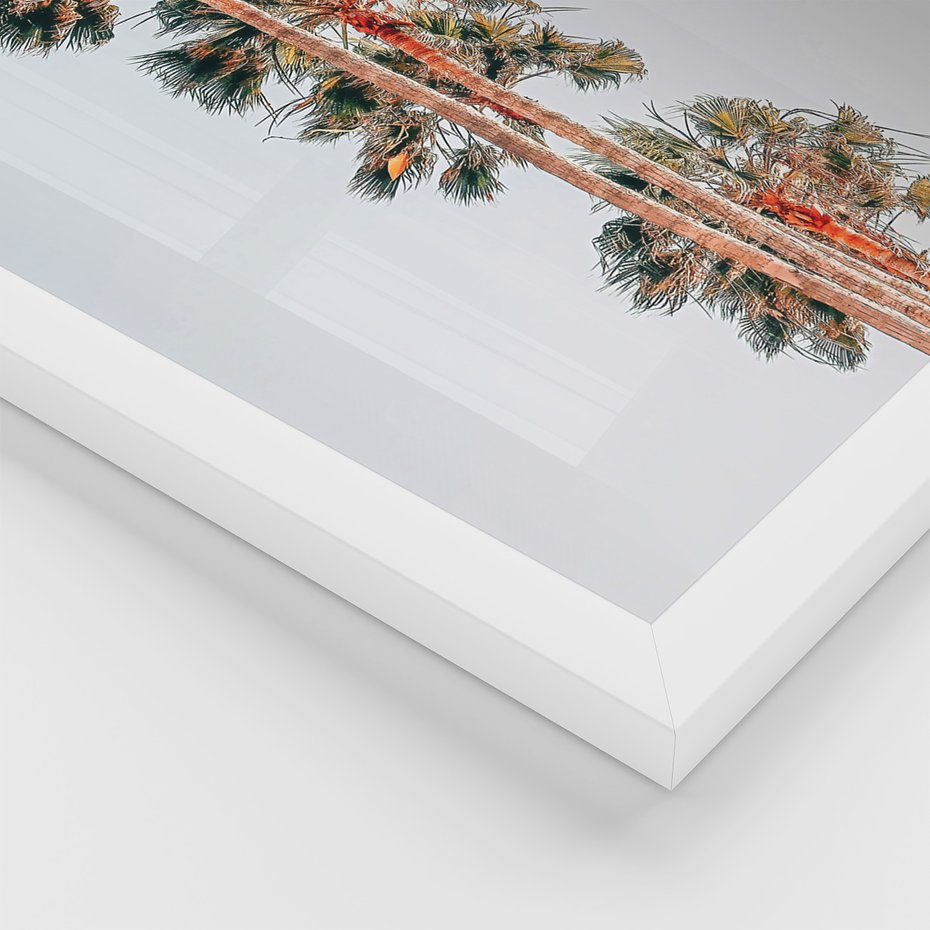 Zestaw obrazy w ramie, plakaty - palmy, tropikalny, lato - rama biała