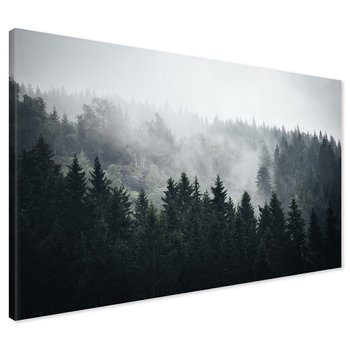 Obraz na płótnie - las, mgła, drzewa