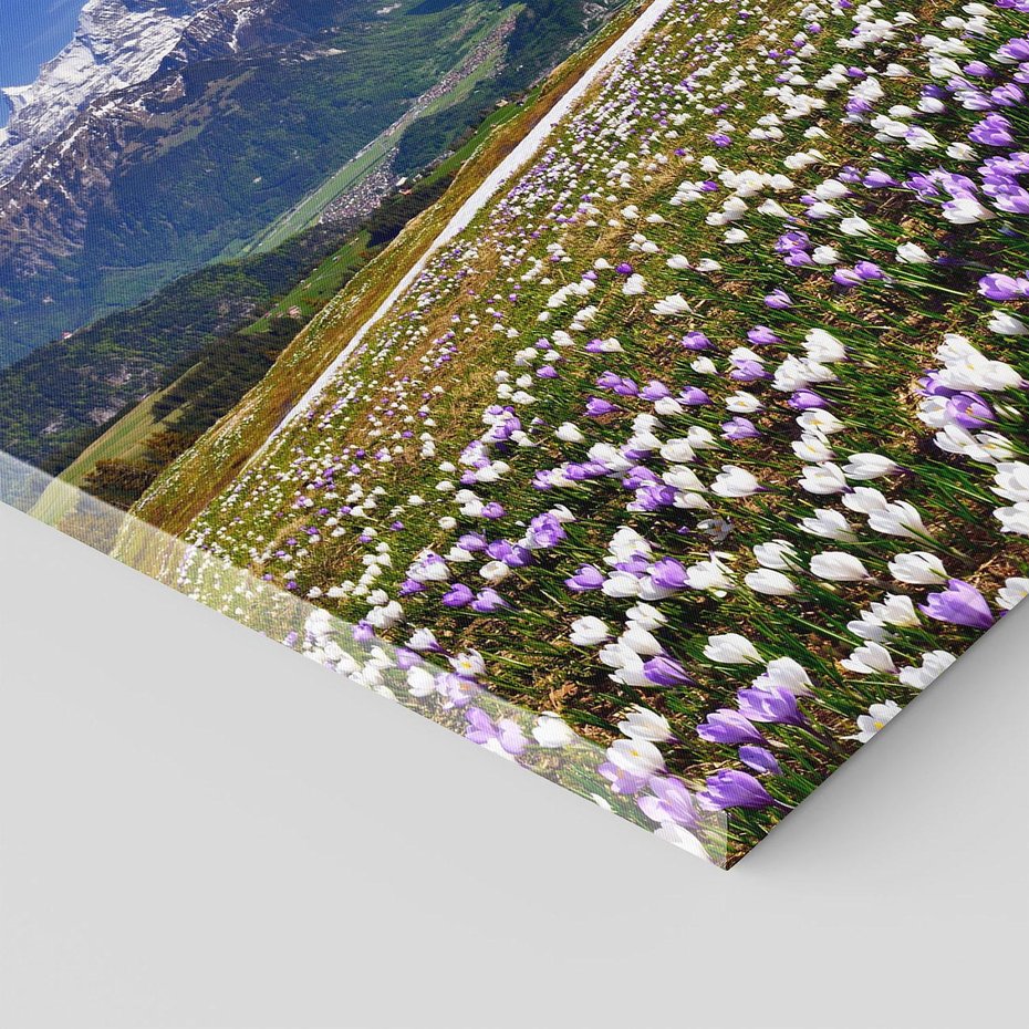 Obraz na płótnie - kwiaty, góry, krajobraz