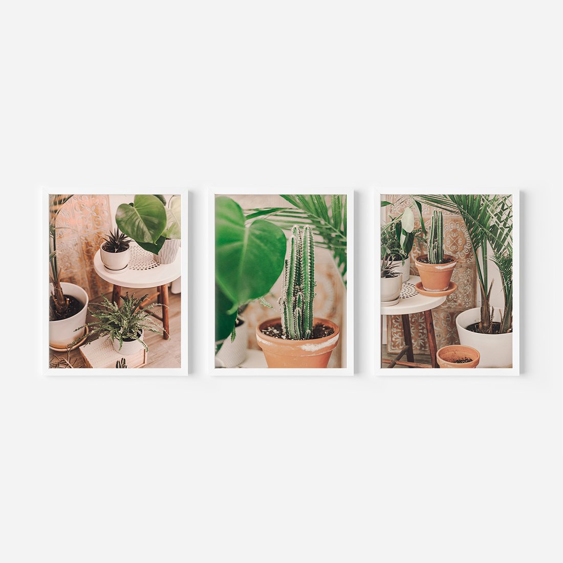 Zestaw obrazy w ramie, plakaty - rośliny, doniczki, wnętrze - rama biała