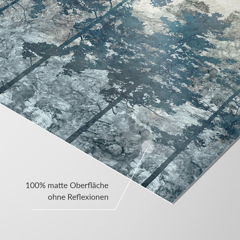 Fototapeta - loft, las, sosny