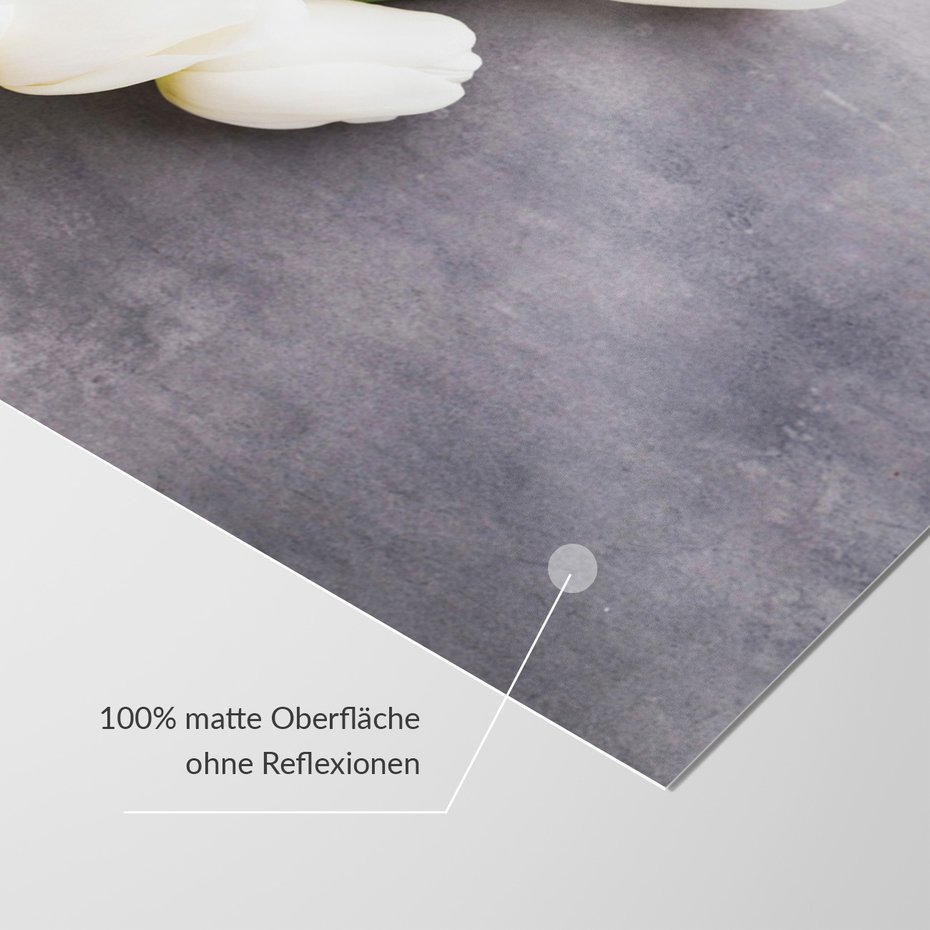 Fototapeta - tulipany, kwiaty, biel,