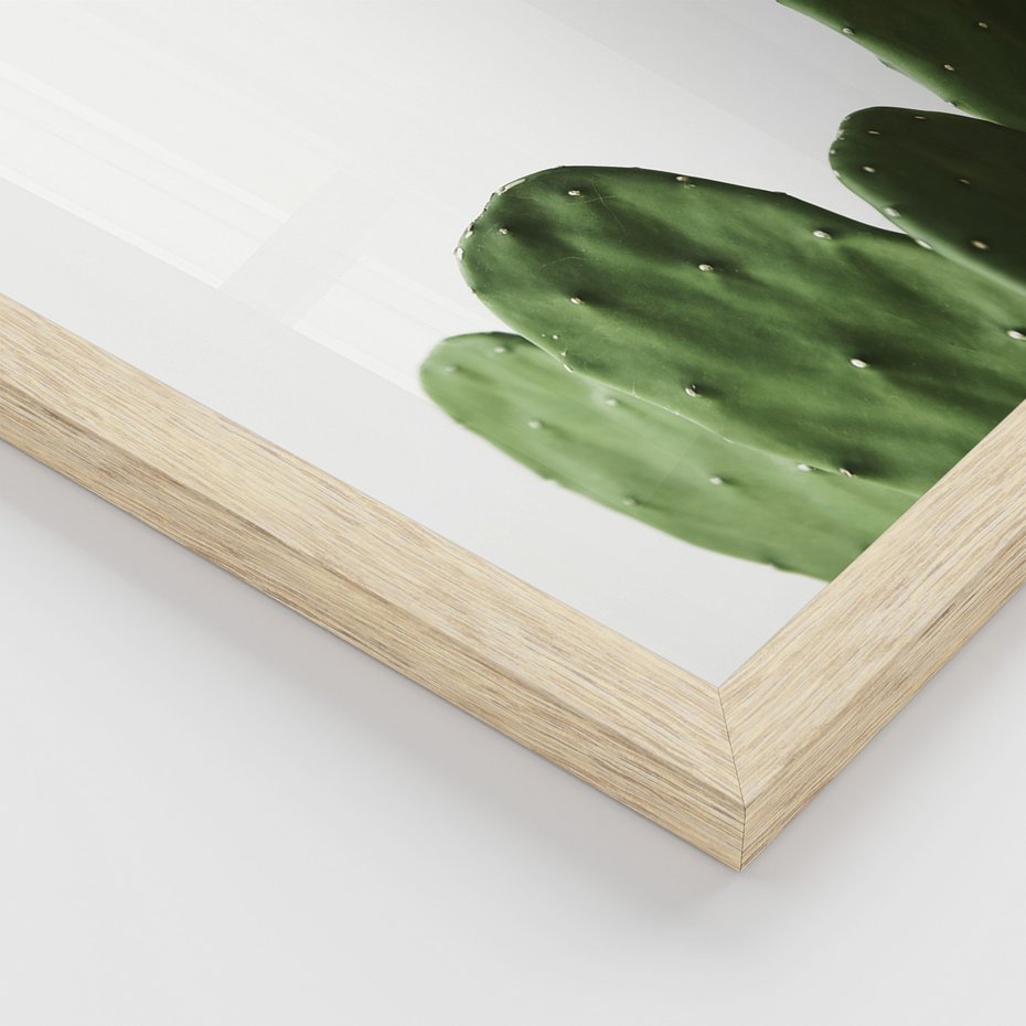 Zestaw obrazy w ramie, plakaty - kaktus, roślina, aloes - rama drewno