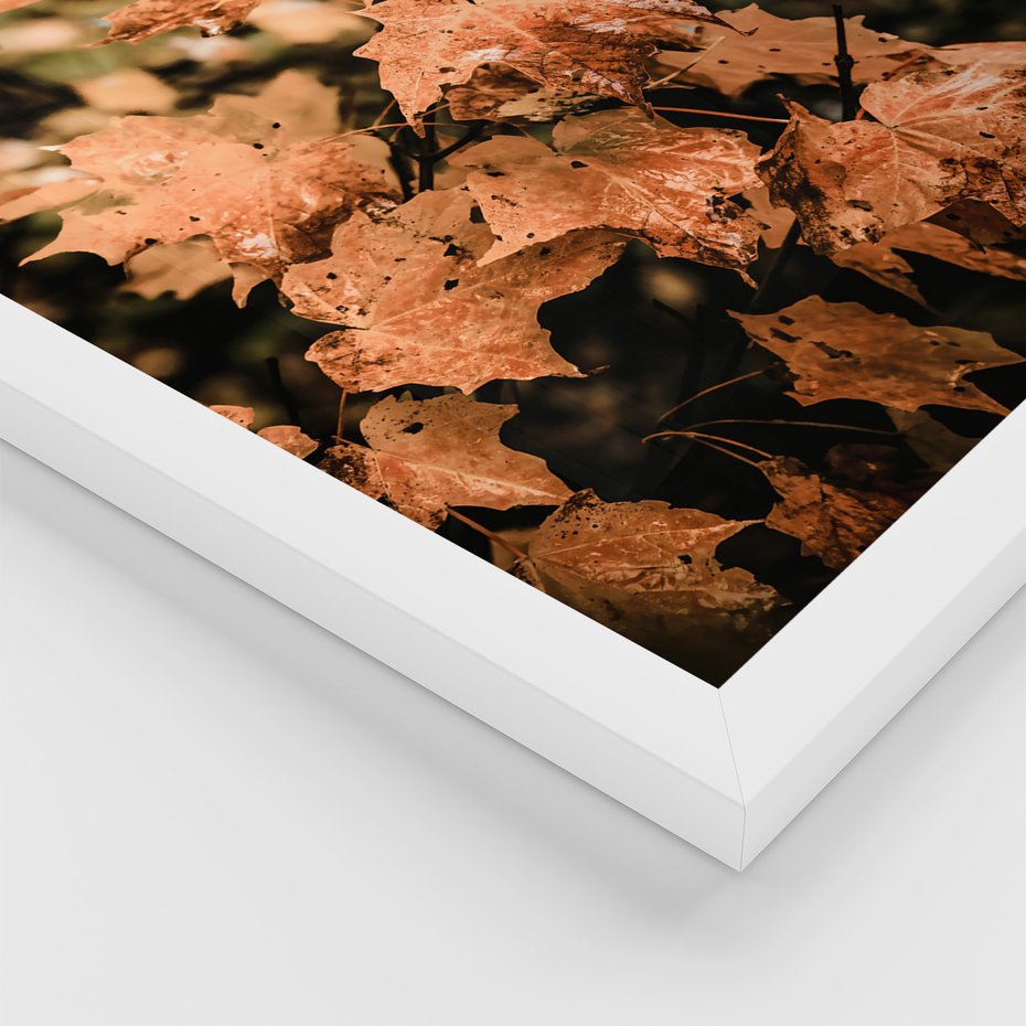 Zestaw obrazy w ramie, plakaty - liście, jesień, droga - rama biała